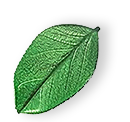 https://doublecrowncleaning.com/wp-content/uploads/2025/07/floating_leaf_01.png