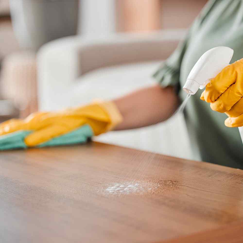 https://doublecrowncleaning.com/wp-content/uploads/2025/07/image_service_01.jpg
